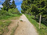 Rossfeld (123)